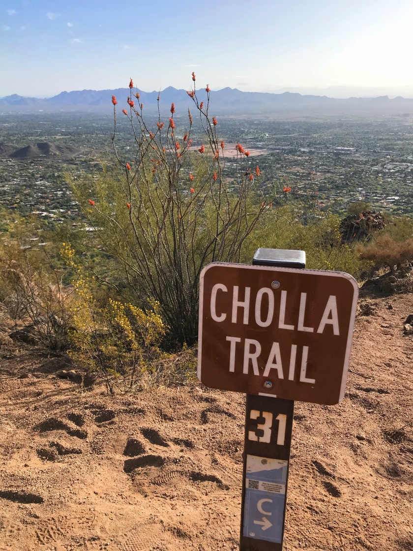Camelback Mountain Cholla Trail Scottsdale Arizona Hike